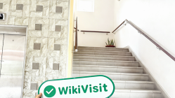 塞舌尔实地探访外汇交易商Modmount  存在真实展业场所