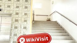 Seyşeller'deki Exclusive Markets Ziyareti - Ofis Bulunamadı