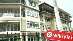 A Visit to GO4REX in Seychelles - No Office Found