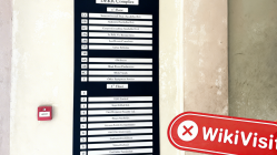 A Visit to GO4REX in Seychelles - No Office Found