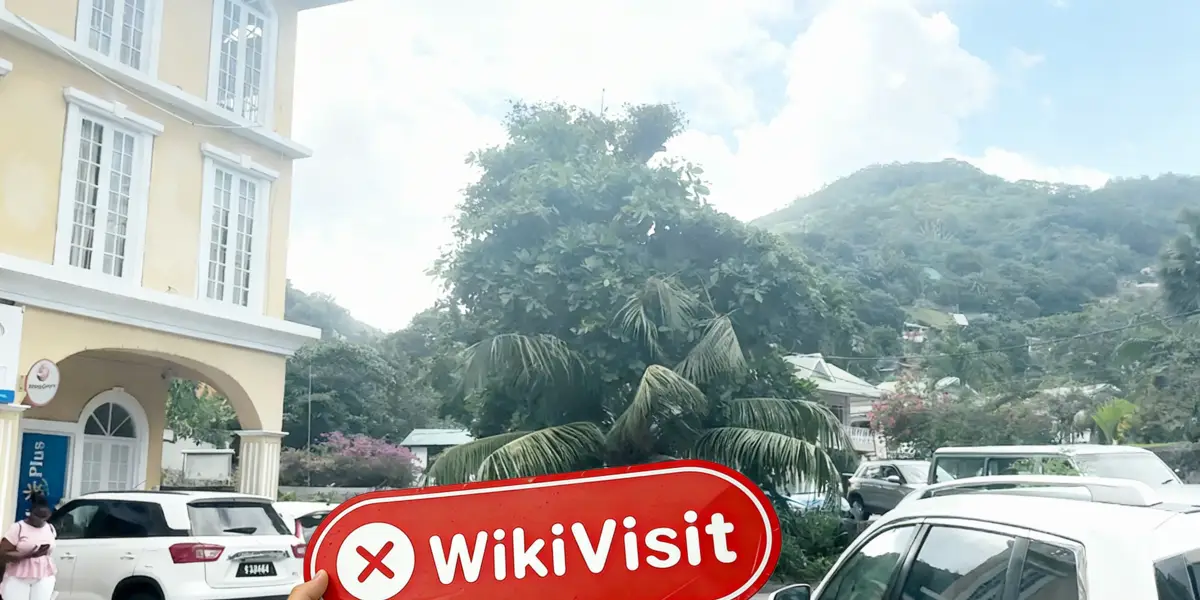 A Visit to Trade Vision in Seychelles - No Office Found