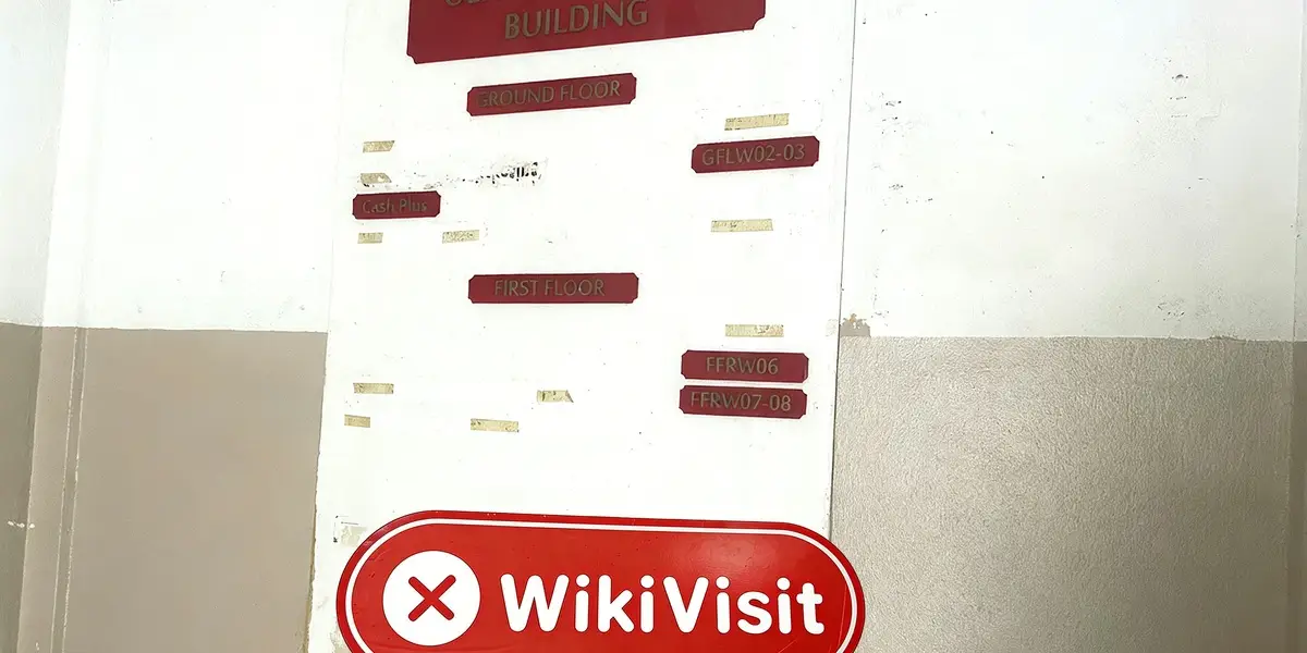 A Visit to Trade Vision in Seychelles - No Office Found