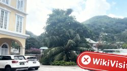 زيارة إلى 4T في سيشل - لم يتم العثور على مكتب