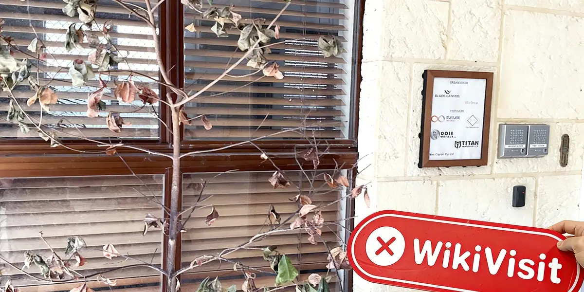 A Visit to MAX MS in Australia – No Office Found