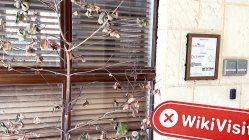 澳大利亚实地探访交易商MAX MS办公场所 不存在真实办公场所