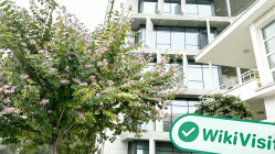 塞浦路斯实地探访外汇交易商LMAX GROUP  存在真实展业场所