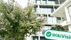 Una visita a LMAX GROUP a Cipro - Ufficio Trovato