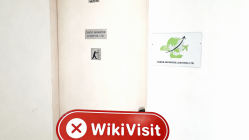 塞浦路斯实地探访外汇交易商TRILT 不存在真实展业场所