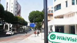 塞浦路斯实地探访外汇交易商ETERNITY CAPITAL  存在真实展业场所