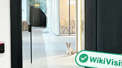 Estonya'da Lightyear Ziyareti - Ofis Bulundu