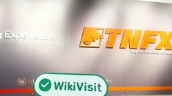 在阿聯酋拜訪TNFX - 辦公室發現