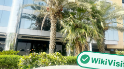 Birleşik Arap Emirlikleri'ndeki FINOWIZ Ziyareti - Ofis Bulundu