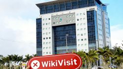 A Visit to CG TRADE/CGTrade Limited in Mauritius – No Office Found