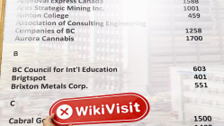 加拿大实地探访外汇交易商Bendix FX  不存在真实展业场所