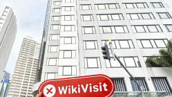 뉴질랜드의 RockGlobal 방문 - 사무실을 찾을 수 없음