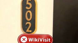 뉴질랜드의 CA Markets 방문 - 사무실을 찾을 수 없음