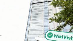 印尼实地探访外汇交易商SFI  存在真实展业场所