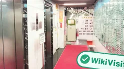 中国香港-实地探访交易商 红狮集团 存在真实展业场所