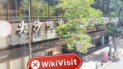 中国香港-实地探访交易商 BistVizyon 不存在真实展业场所