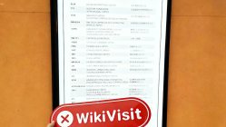 中国香港-实地探访交易商 BistVizyon 不存在真实展业场所