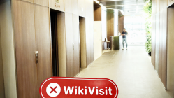 Una visita a WISDOM en Hong Kong - No se encontró oficina