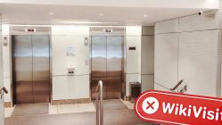 Una visita a Freeman a Hong Kong - Nessun ufficio trovato