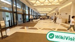 日本实地探访交易商 InteractiveBrokers 存在真实展业场所