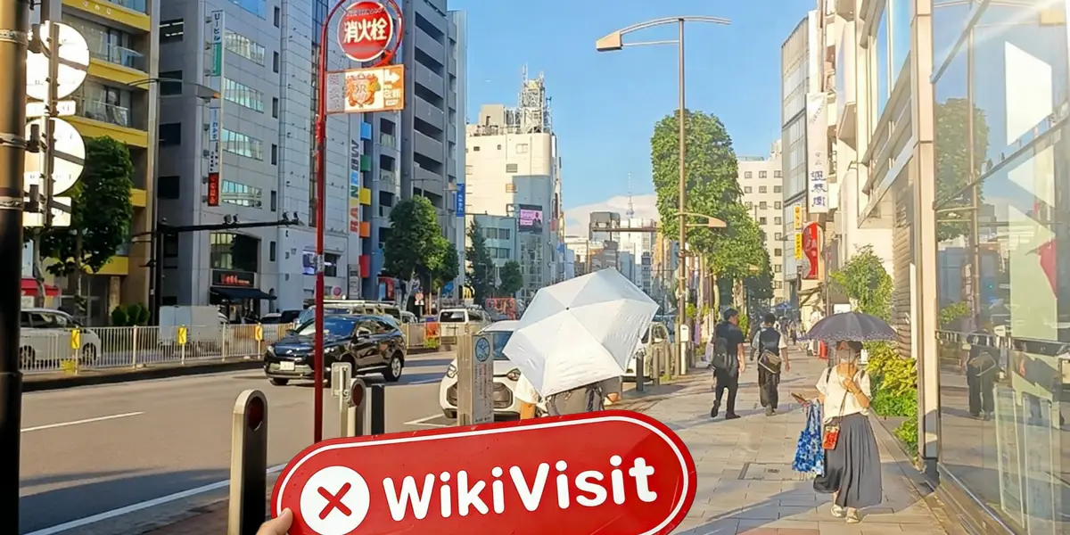 A Visit to Maliksi Ltd in Japan– No Office Found