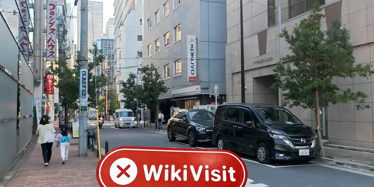 A Visit to Maliksi Ltd in Japan– No Office Found