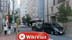 A Visit to Maliksi Ltd in Japan– No Office Found