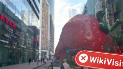 Посещение Lavro Group в России – Офис не найден