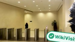 Kunjungan ke IVA Partners di Rusia – Kantor Ditemukan