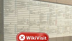 JFS BROKERS Japonya'da Bir Ziyaret - Ofis Bulunamadı