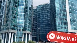 Посещение PearlFX в России – Офис не найден