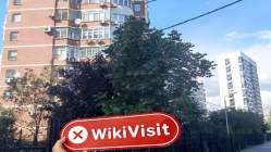 Rusya'daki KENKO Ziyareti - Ofis Bulunamadı