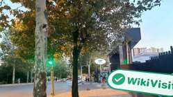 トルコのSanko Yatirimを訪問 - オフィスが見つかりました