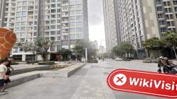 越南实地探访外汇交易商CJC Markets 不存在真实展业场所