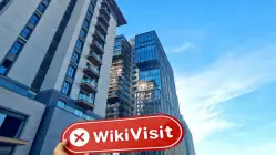 Визит в Investing Capital Online Group в Турции – Офис не найден