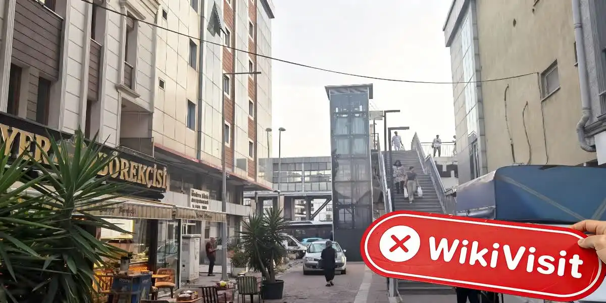 Alta Trend Fx ترکی تصدیق شدہ: کوئی جسمانی موجودگی نہیں ملی