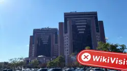 Troy 터키  확인됨:  물리적 존재 없음