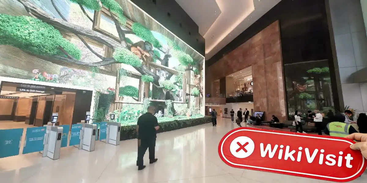 Lvl Singapore PTE سنگاپور تصدیق شد: کوئی جسمانی موجودگی نہیں ملی