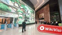 Lvl Singapore PTE Singapur  Doğrulandı:  Fiziksel Varlık Bulunamadı