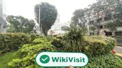 Phillip CFD Singapur Verificado: No se encontró presencia física