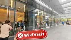 Future Wealth 싱가포르  확인됨:  물리적 존재 없음