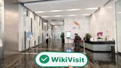 新加坡实地探访外汇交易商LME 存在真实展业场所