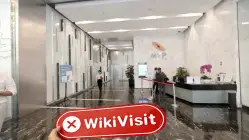 TOKKYO Сингапур  Проверено: Физическое присутствие не обнаружено