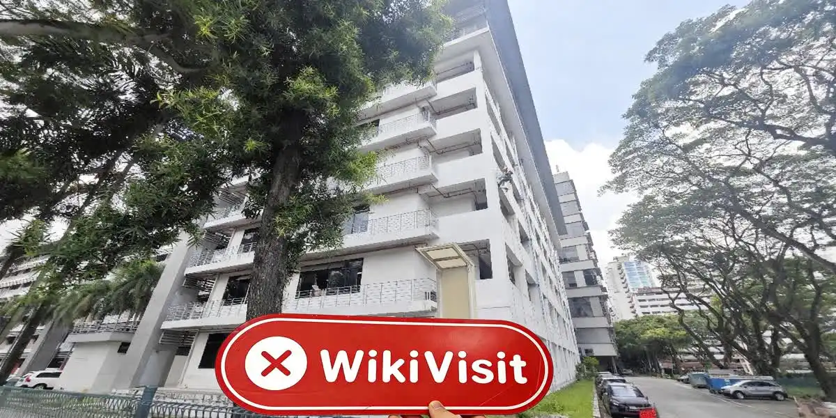 DeltaTrading Singapur Verificado: No se encontró presencia física
