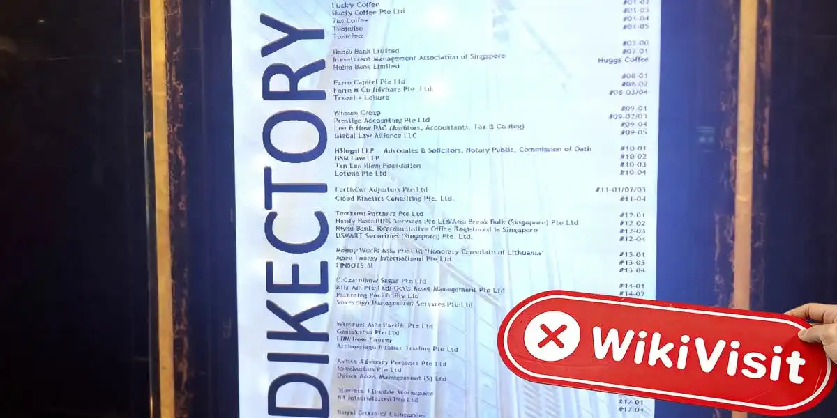 LION Singapore  Verified:  Walang Nakitang Pisikal na Presensya