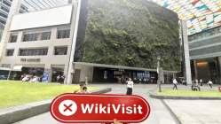 IDG Trading Singapur  Verifiziert:  Keine physische Präsenz festgestellt