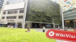 Alphadextrading 싱가포르  확인됨:  물리적 존재 확인되지 않음